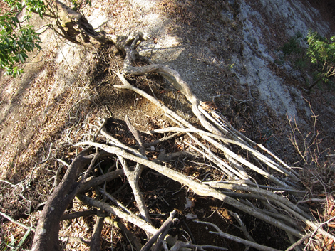 20200110hike (127)